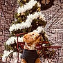 Belle is registered to the contest to win money with this photo: dog, christmas_tree, holiday_decor, decorative_bicycle, white_garland, stone_wall, festive_lights, indoor, pet_clothing, red_and_black, floor, collar, sitting, cute, fluffy, holiday, seasonal, cozy, decor, winter