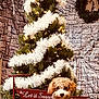 dog, christmas_tree, holiday, decorations, garland, lights, star, wreath, bow, blanket, red, black, checkered, fur, pet, festive, indoor, cozy, cute, smiling