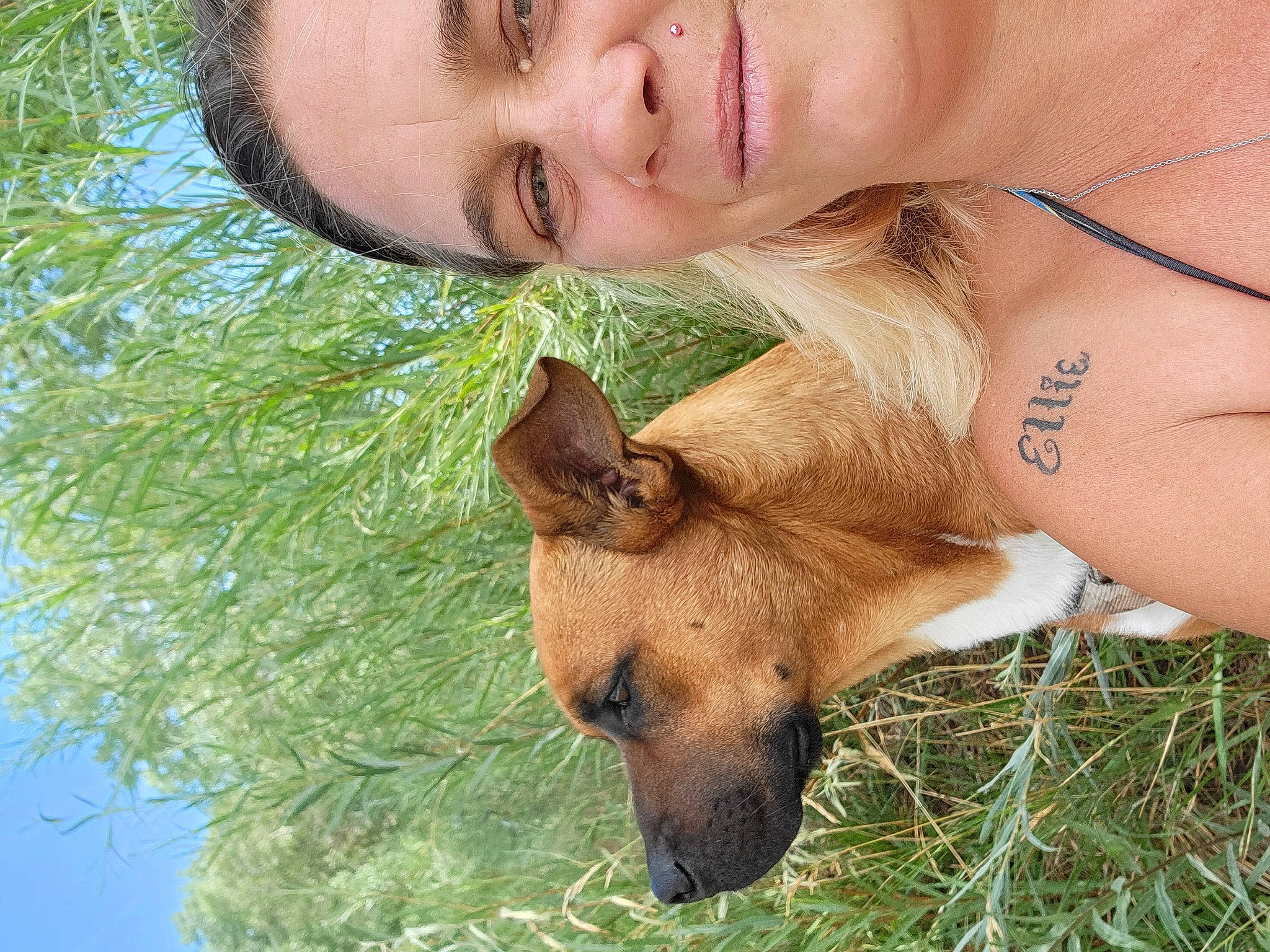 Shylo is registered to the contest to win money with this photo: canidae, carnivore, companion_dog, dog, dog_breed, fawn, grass, grassland, hair, happy, leisure, people_in_nature, plant, sky, smile, sporting_group, terrestrial_animal, tree, whiskers, working_animal