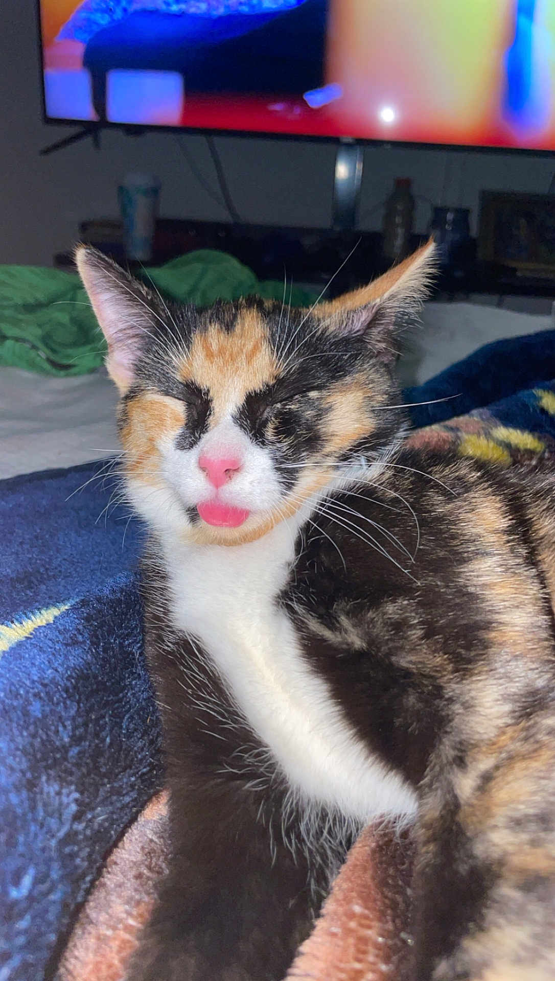 Cleo