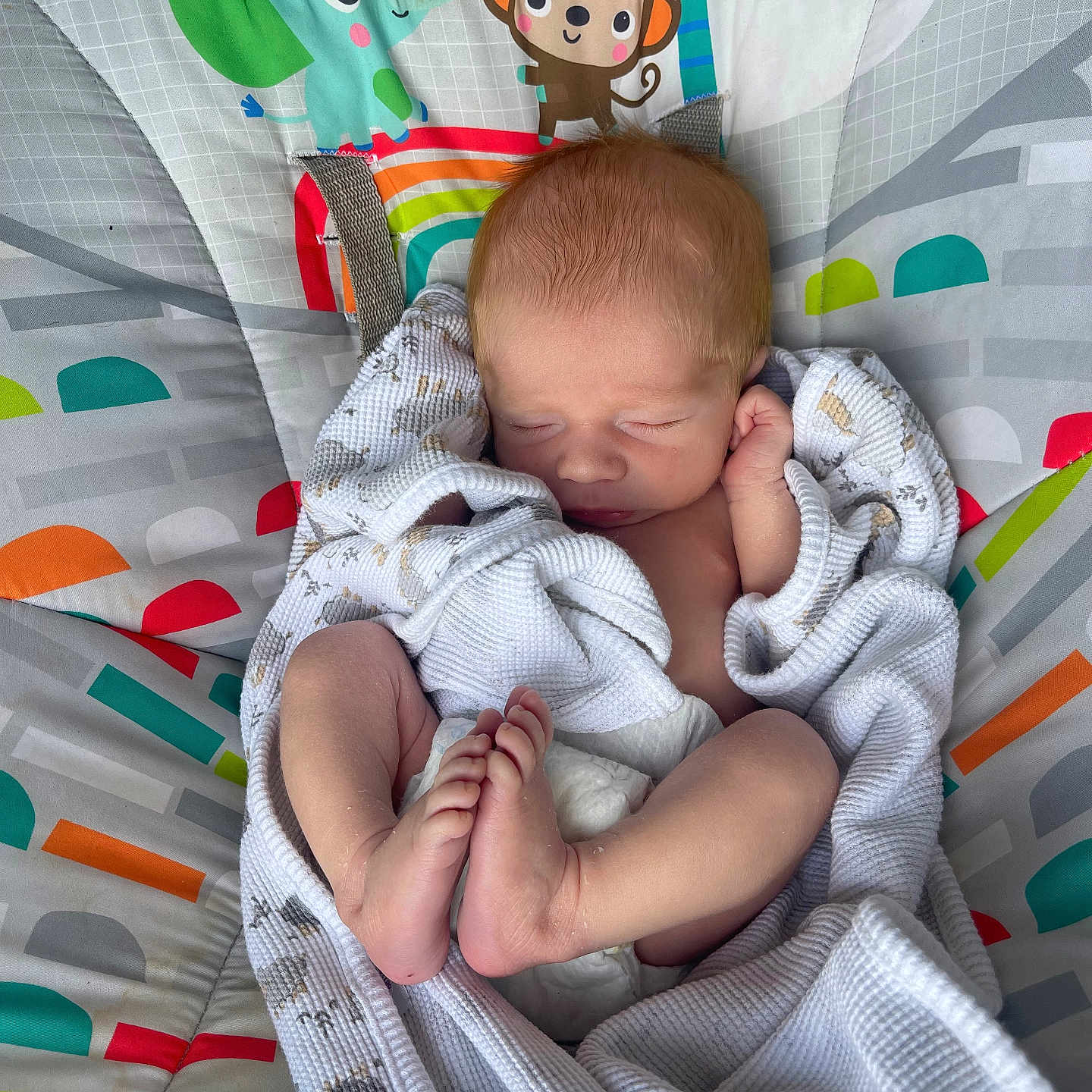 Xavier joined the competition — help win amazing prizes! newborn, baby, sleeping, blanket, infant, child, cute, wrapped, baby_seat, cartoon_animals, elephant, monkey, colorful, soft, peaceful, indoors, portrait, feet, head, resting