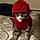 Sheebi