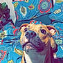 dog, bed, bedding, pillow, floral_pattern, blue, brown_dog, pet, collar, indoor, bedroom, furniture, cute, animal, domestic_animal, resting, looking_up, canine, home, comfort