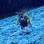 Cheech is registered to the contest to win money with this photo: dog, snow, winter, field, grass, jacket, outdoor, animal, pet, playful, leaping, nature, forest, cold, daylight, mammal, fur, running, energetic, canine