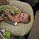 Grayson