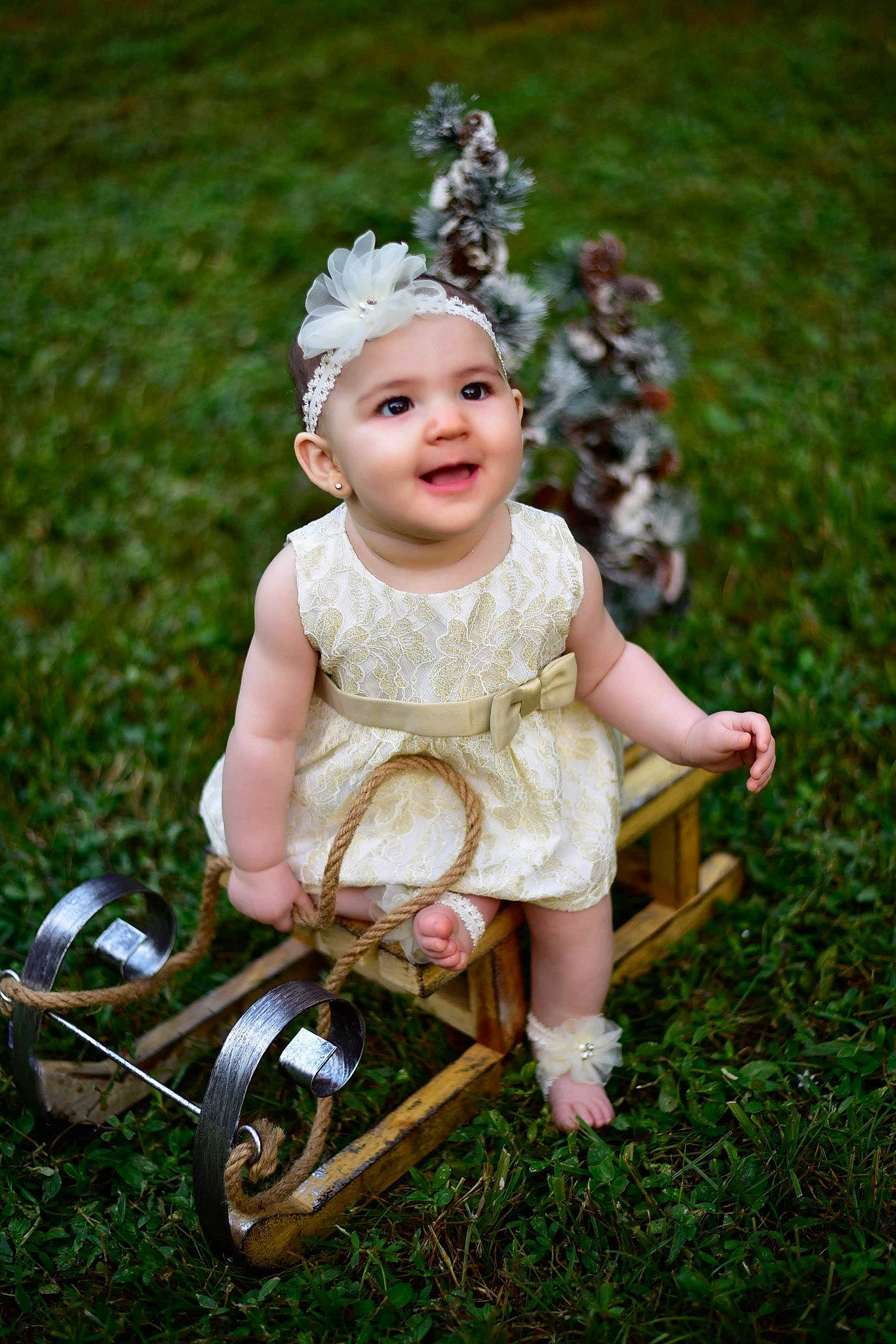 Bella Victoria is registered to the contest to win money with this photo: baby, baby_toddler_clothing, child, child_model, dress, flower_girl, fun, grass, hair_accessory, happy, headband, headgear, headpiece, person, photograph, photography, plant, sitting, smile, summer