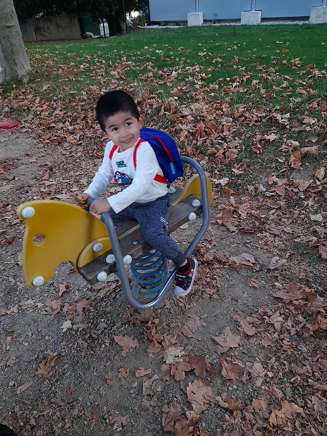 Jefferson a rejoint le concours — aidez-le/la à gagner de superbes lots ! adaptation, child, joy, person, play, playground, public_space, sitting, soil, toddler, tree