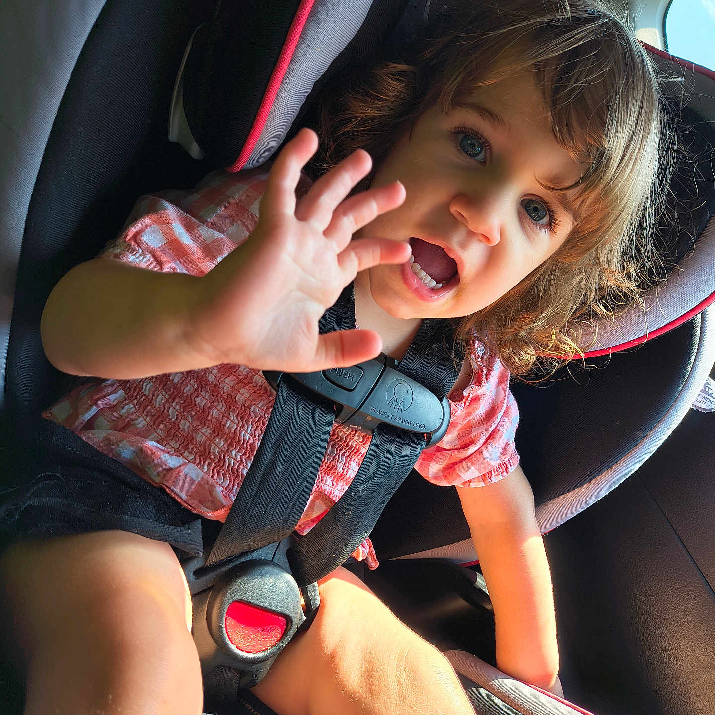 Ryleigh is registered to the contest to win money with this photo: child, toddler, car_seat, safety_harness, seatbelt, car_interior, sunlight, curly_hair, pink_checkered_shirt, black_shorts, hand, face, blue_eyes, smiling, cute, person, young_child, seat, window, daylight