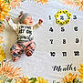 baby, infant, milestone_blanket, sunflower, flower_crown, months, hat, clothing, lying_down, cute, pink_pants, white_shirt, numbers, yellow_flowers, patterned_pants, baby_milestone, portrait, child, soft_blanket, expression