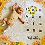 baby, infant, blanket, sunflower, numbers, months, onesie, hat, socks, lying_down, cute, adorable, pattern, flower_wreath, age_marker, child, portrait, soft_texture, colorful, decorative