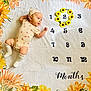 Gemma joined the competition — help win amazing prizes! baby, infant, milestone_blanket, sunflower, months, cute, lying_down, soft_light, decorative, number, yellow, floral, clothing, hat, socks, portrait, child, adorable, happy, face