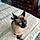 Mahina