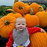 Carson joined the competition — help win amazing prizes! baby, child, pumpkins, pumpkin_patch, outdoor, garden, farm, autumn, harvest, orange, smiling, sitting, portrait, infant, bib, red_shirt, green_grass, flowers, farmhouse, wagon
