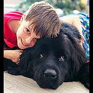 Rook joined the competition — help win amazing prizes! boy, child, dog, black_dog, smiling, cuddling, indoor, floor, happy, pet, friendship, portrait, casual_clothing, short_hair, animal, young, cozy, close_up, cute, domestic_animal