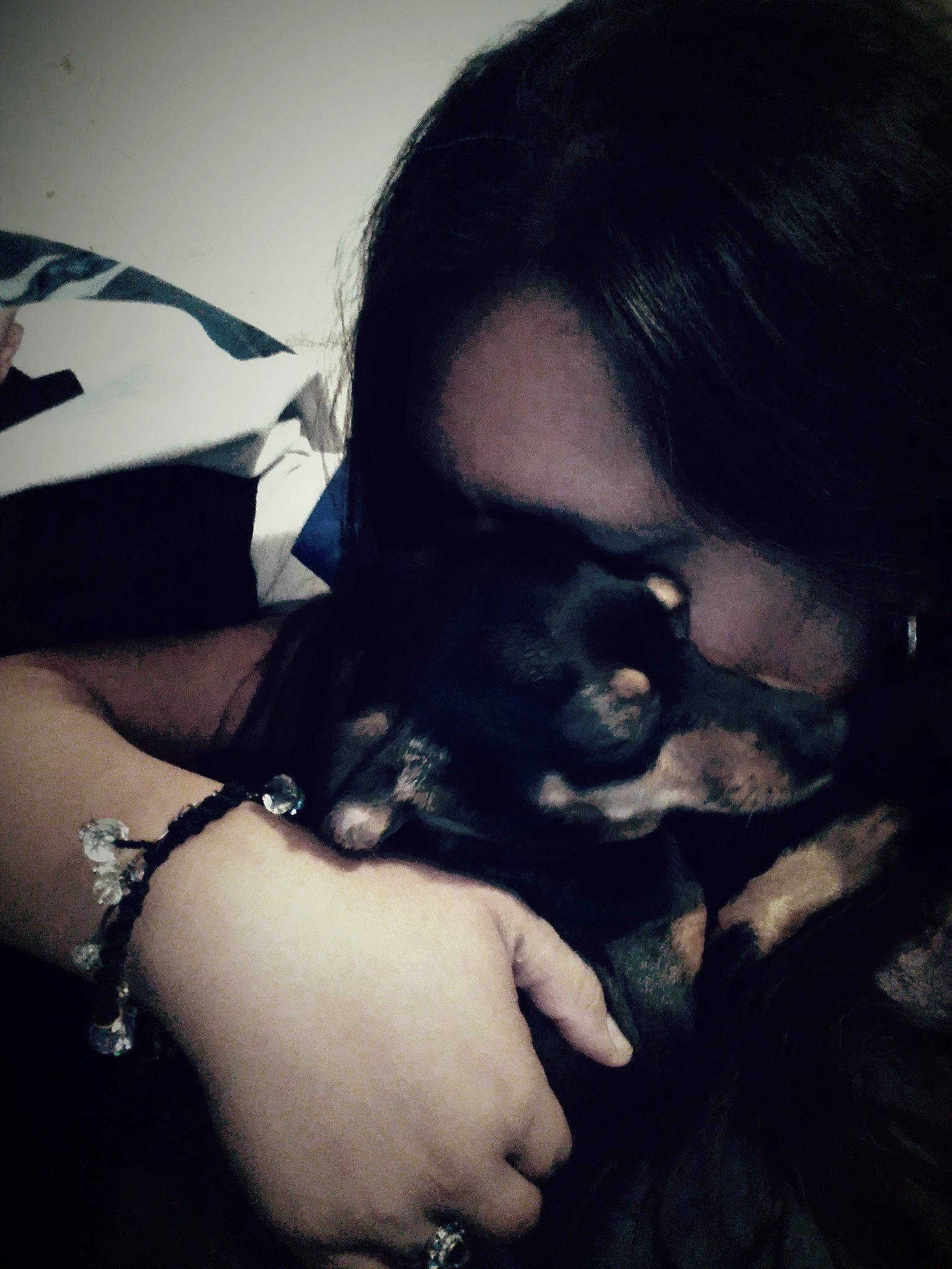 Suki is registered to the contest to win money with this photo: arm, beard, carnivore, cat, comfort, dress, elbow, eyelash, eyewear, fawn, felidae, flash_photography, gesture, hand, happy, head, shoulder, small_to_medium_sized_cats, sunglasses, vision_care