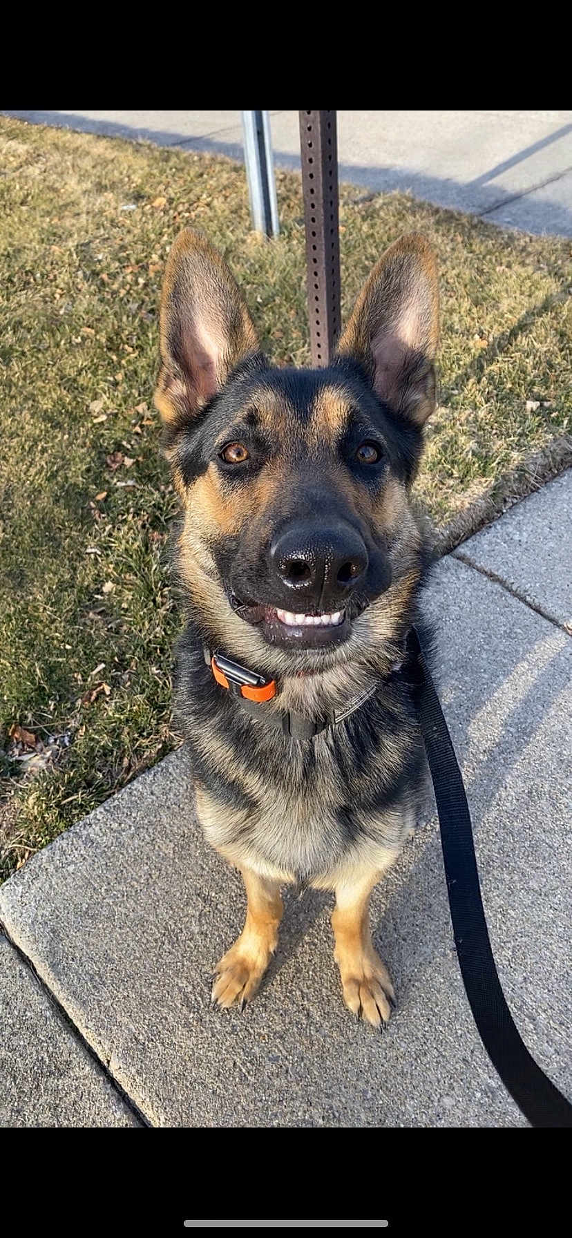 Oakley