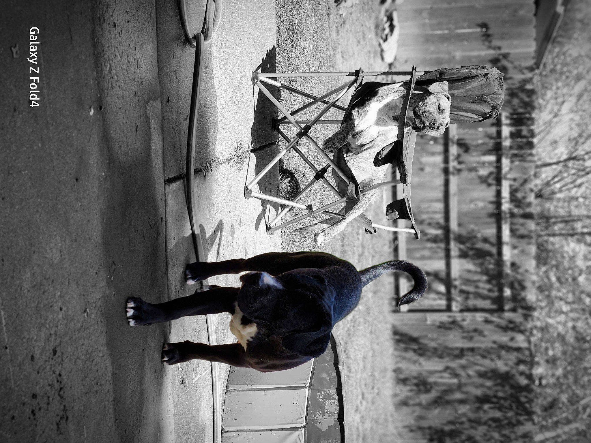 Church joined the competition — help win amazing prizes! adventure, art, black, black_and_white, concrete, dog, extreme_sport, facade, font, grey, monochrome, monochrome_photography, recreation, rock, shadow, street, style, tree, visual_arts, white