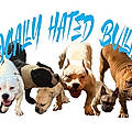 Locallyhated B. R.