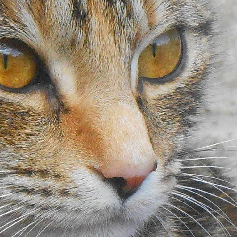 Amber