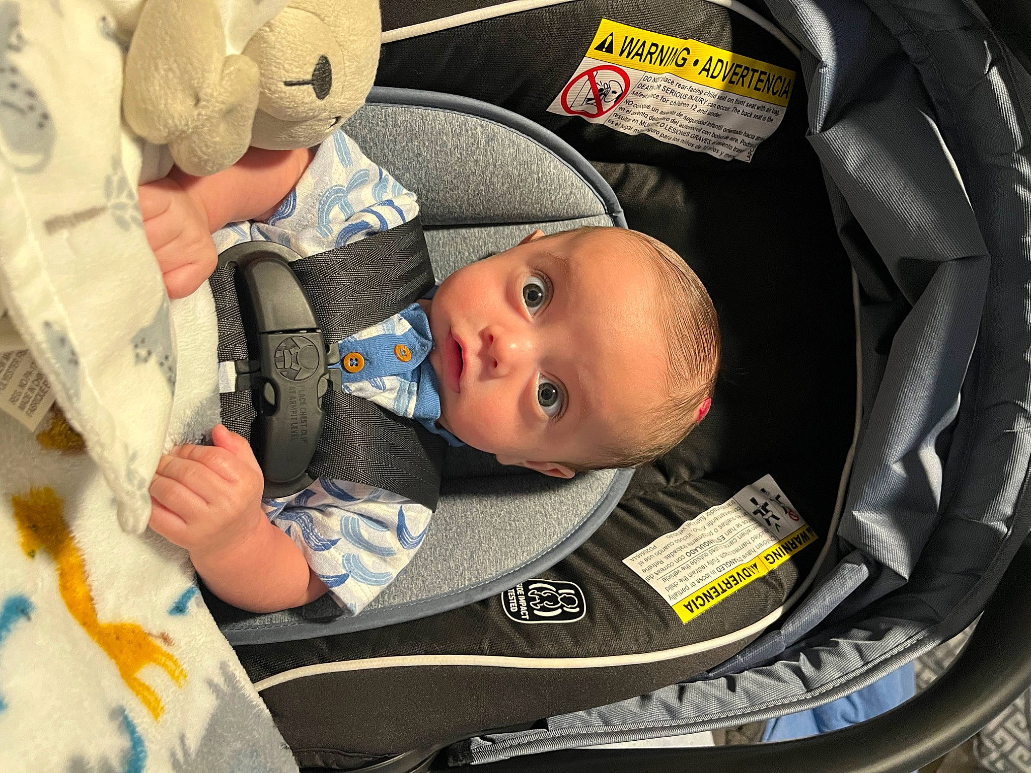 Matteo joined the competition — help win amazing prizes! auto_part, baby, baby_carriage, baby_in_car_seat, baby_products, baby_safety, baby_sleeping, baby_toddler_clothing, bag, car_seat, carmine, child, comfort, hat, linens, person, personal_protective_equipment, product, service, toddler