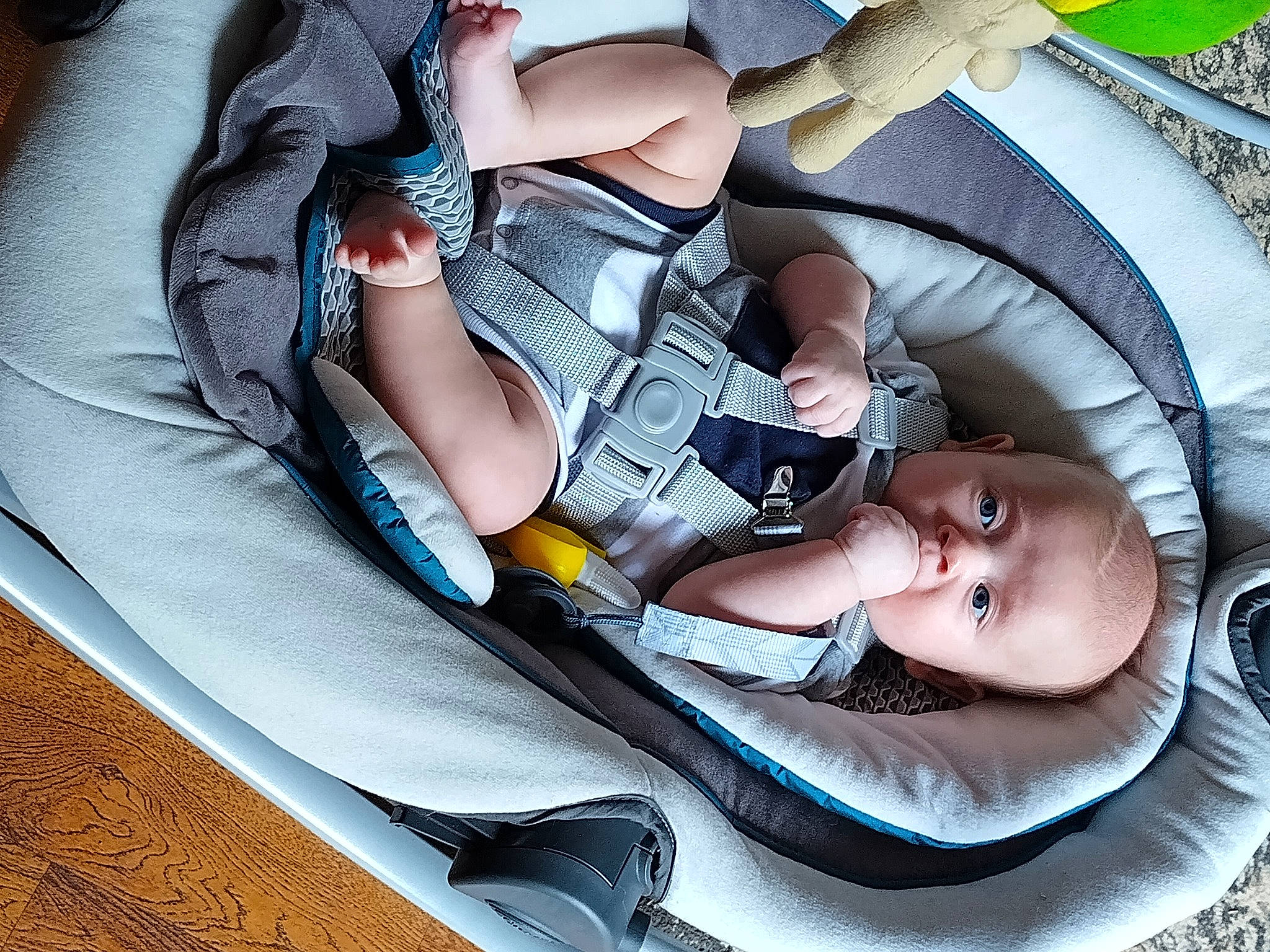 Evander is registered to the contest to win money with this photo: auto_part, baby, baby_carriage, baby_in_car_seat, baby_products, baby_safety, baby_sleeping, baby_toddler_clothing, car_seat, child, comfort, cool, fun, grass, hand, lap, pattern, person, sitting, thigh