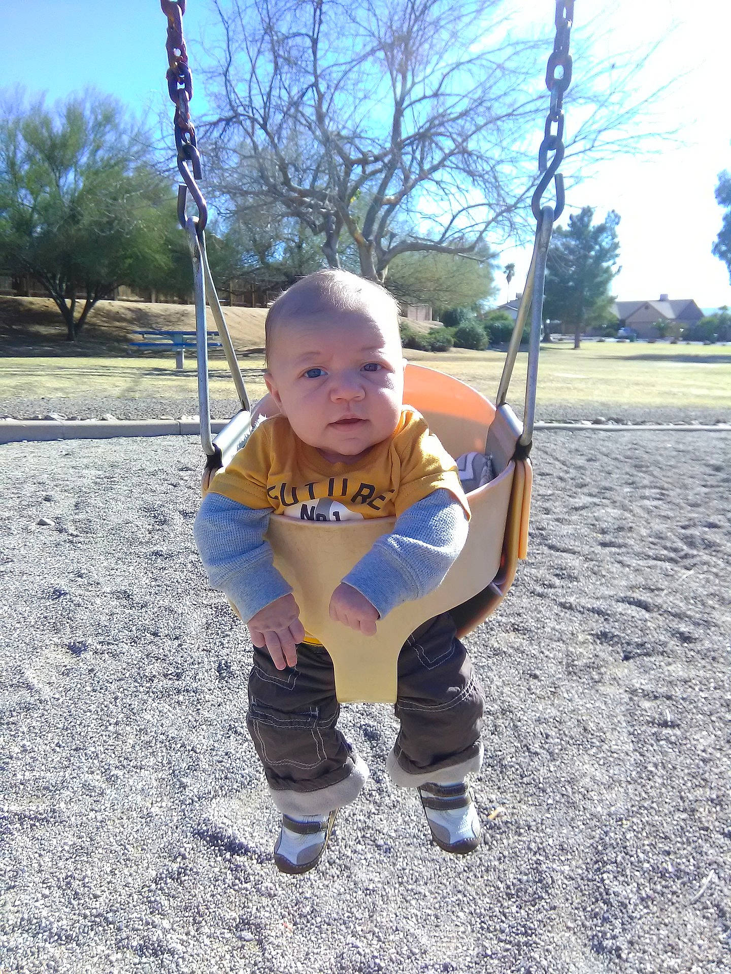 Grayson Laubham is registered to the contest to win money with this photo: child, fun, girl, grass, outdoor_play_equipment, person, play, playground, recreation, swing, toddler, tree, vacation