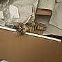 cat, kitten, tabby, cardboard, packing_paper, curious, wide_eyes, indoor, pet, playful, box, messy, floor, brown, white, animal, cute, small, feline, young