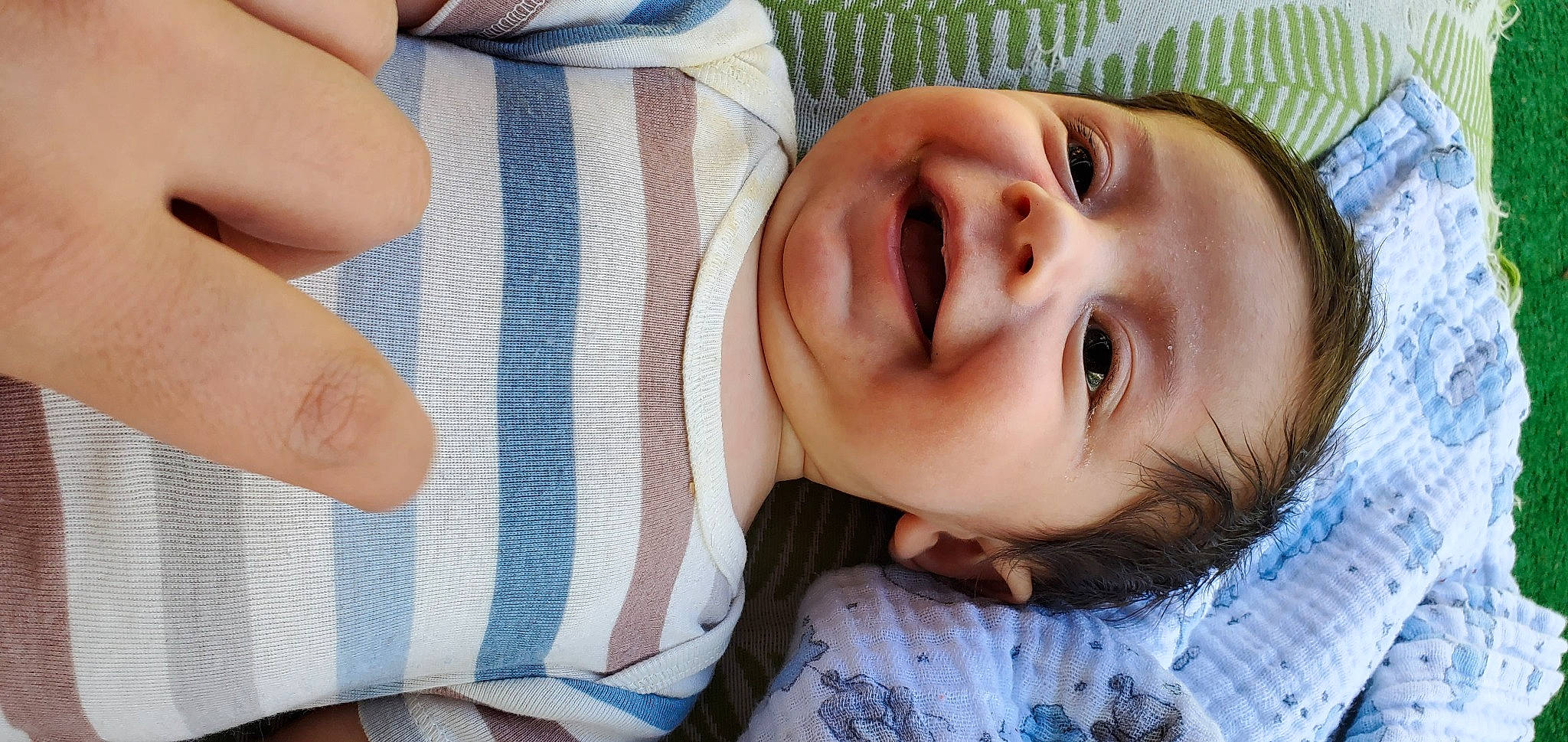 Gryffin is registered to the contest to win money with this photo: baby, baby_toddler_clothing, cheek, comfort, eye, eyelash, gesture, grass, happy, human_body, iris, lip, mouth, nose, person, plant, skin, sleeve, smile, toddler