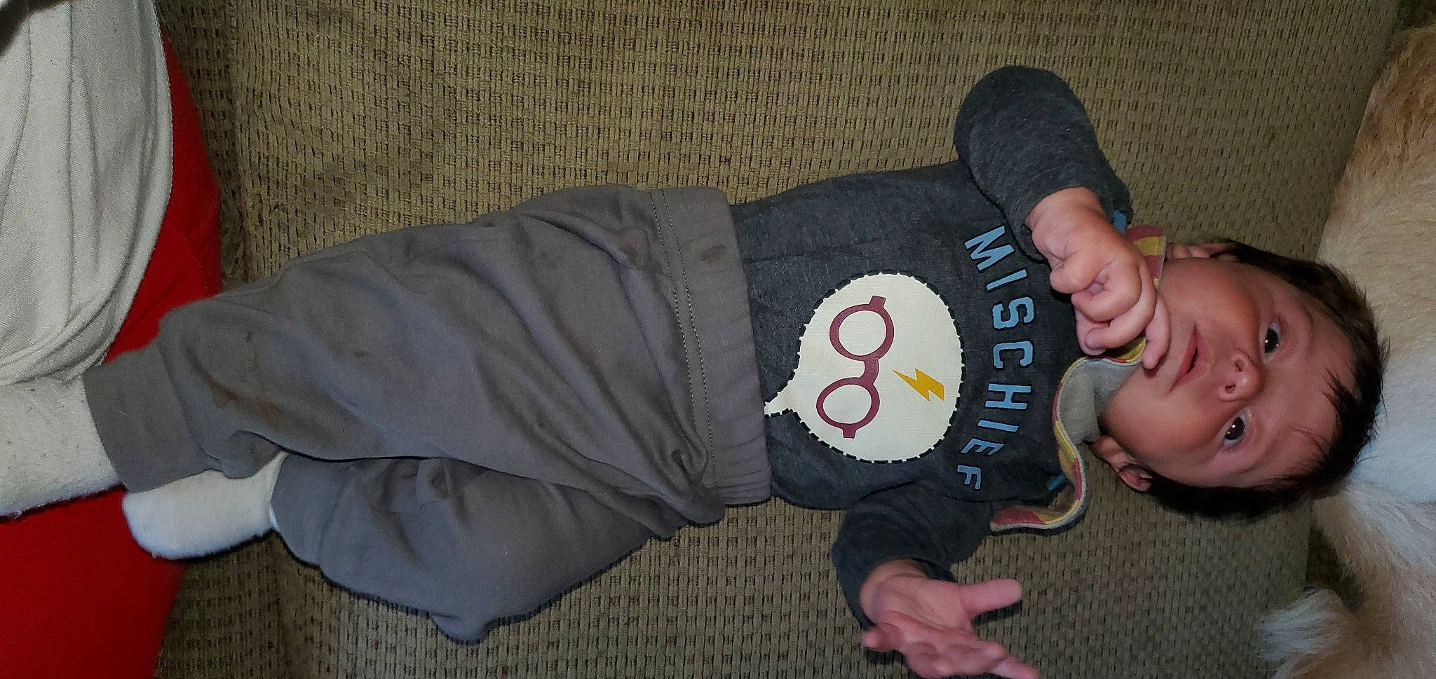 Gryffin joined the competition — help win amazing prizes! active_pants, baby_toddler_clothing, comfort, elbow, fashion_accessory, font, foot, gesture, glove, knee, nail, pattern, person, personal_protective_equipment, sleeve, t_shirt, thumb, wrist