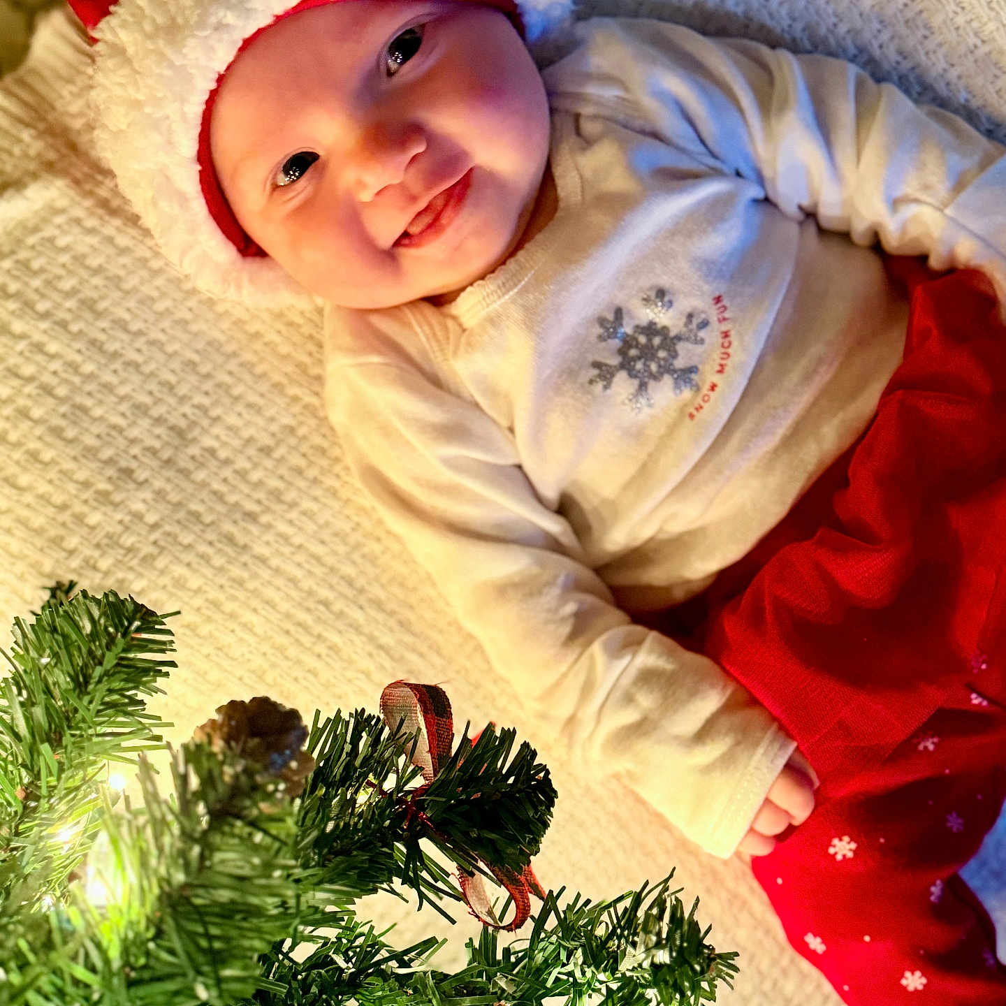 Maisy is registered to the contest to win money with this photo: baby, blanket, celebration, christmas_tree, cozy, cute, decoration, face, festive, greenery, happy, holiday, indoors, infant, lights, red_clothing, santa_hat, smile, white_clothing, winter