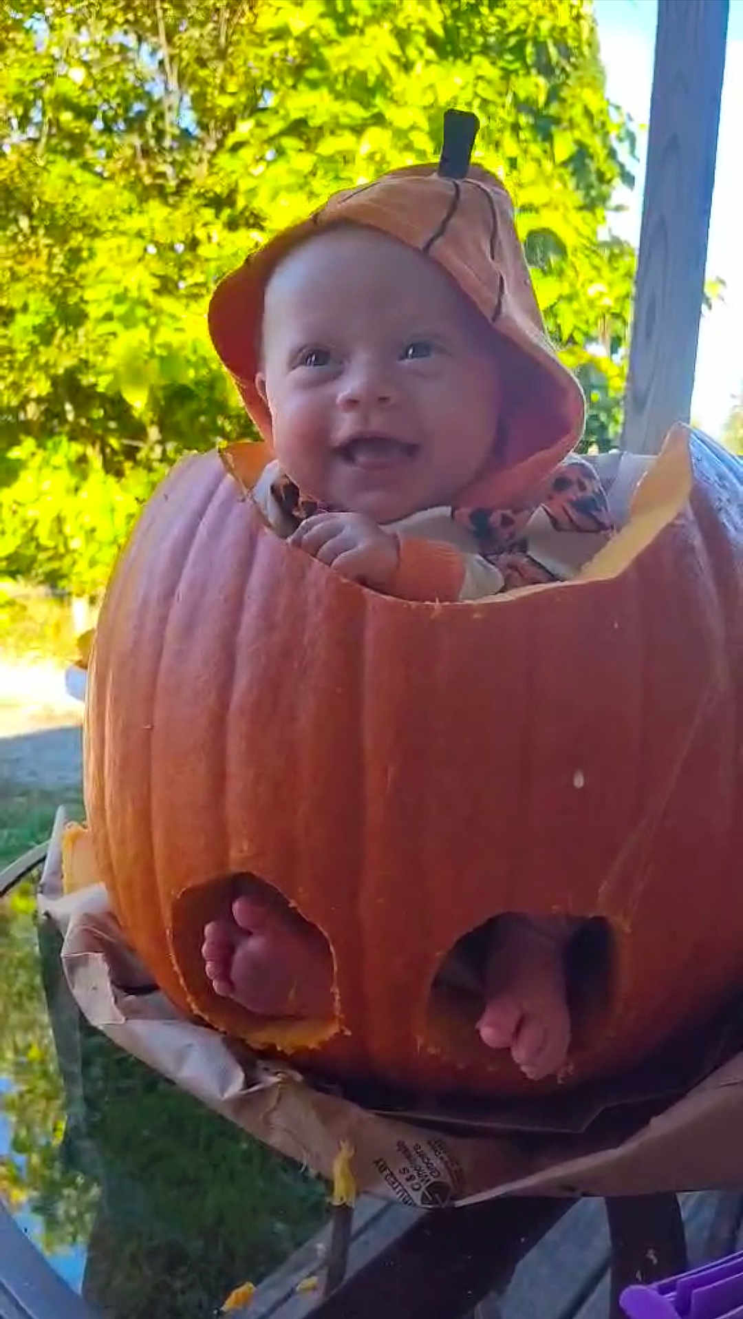 Nova-Jo is registered to the contest to win money with this photo: baby, pumpkin, costume, smile, feet, hollowed_pumpkin, outdoor, greenery, tree, sunlight, happy, child, cute, orange, fall, autumn, holiday, festive, porch, headwear