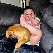Phoebe is registered to the contest to win money with this photo: baby, infant, puppy, dog, couch, blanket, thumb_sucking, foot, cozy, indoor, cute, pet, child, relaxing, furniture, playful, young_child, toddler, home, snuggle