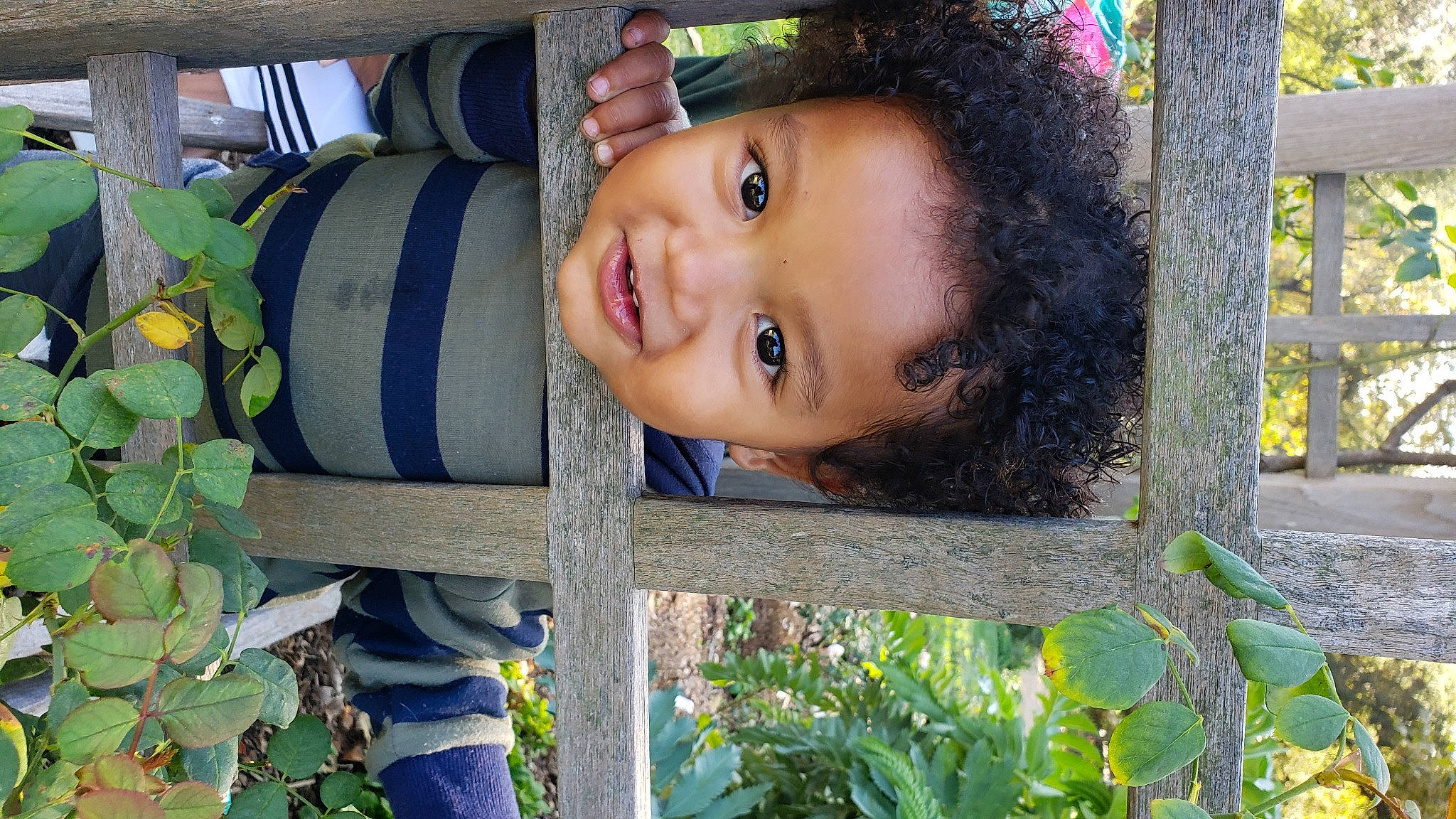 Ray is registered to the contest to win money with this photo: adaptation, child, eye, fun, grass, happy, iris, laugh, leaf, leisure, people_in_nature, person, plant, portrait_photography, sitting, smile, toddler, tree, wood