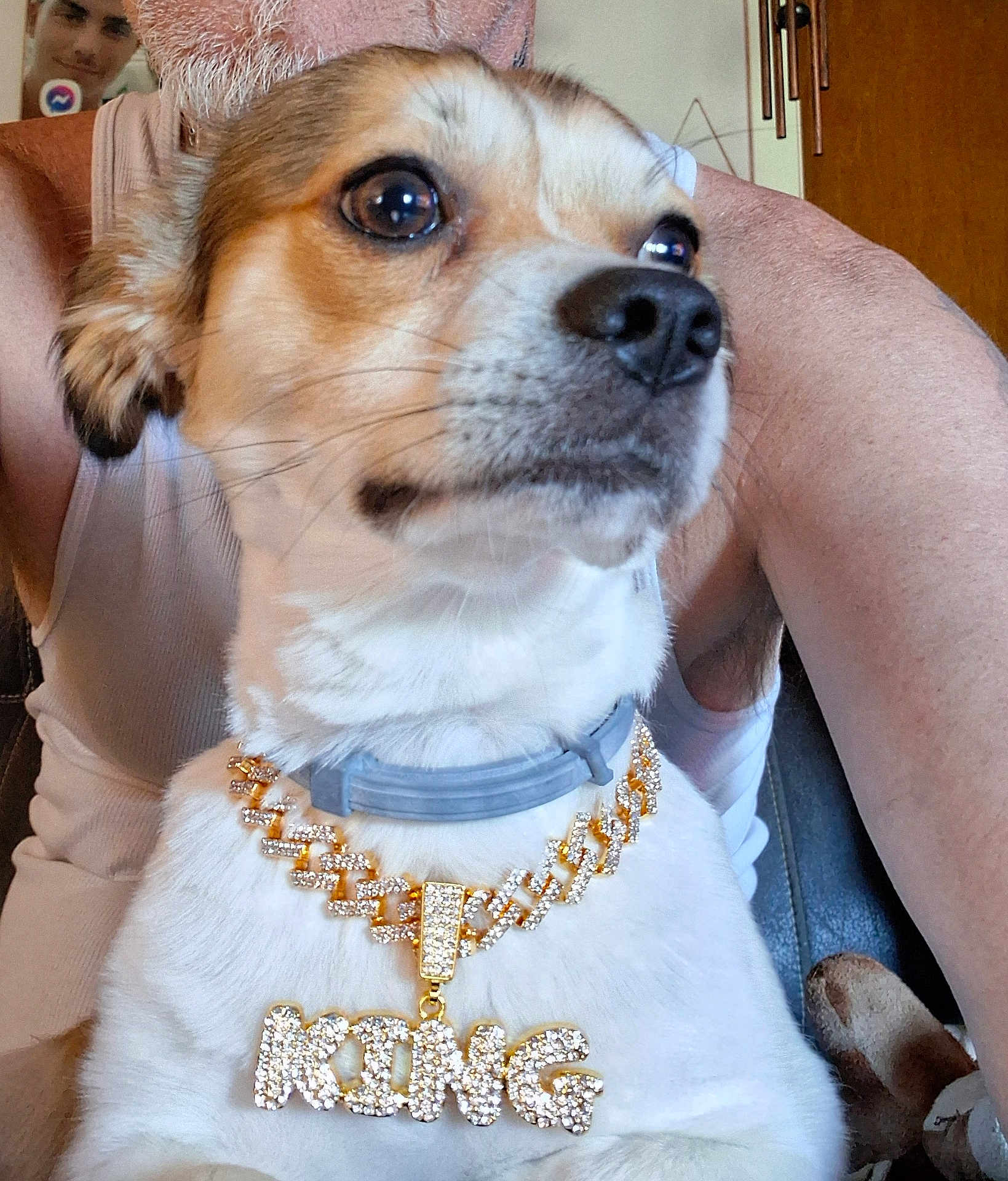 King
