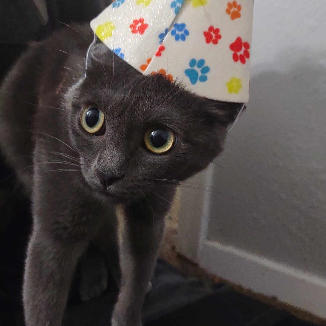 Luna