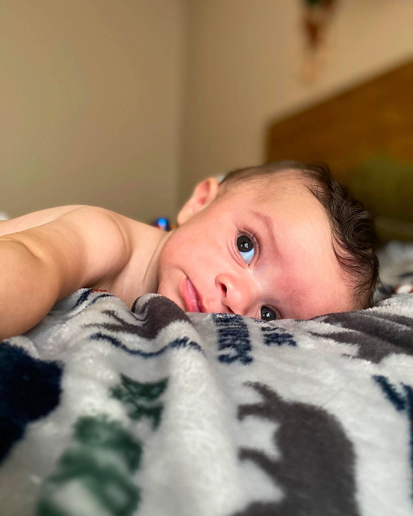 Jack joined the competition — help win amazing prizes! baby, bed, bedding, cheek, child, comfort, couch, eye, eyelash, flooring, fur, human_body, iris, linens, neck, nose, person, skin, sleeve, toddler