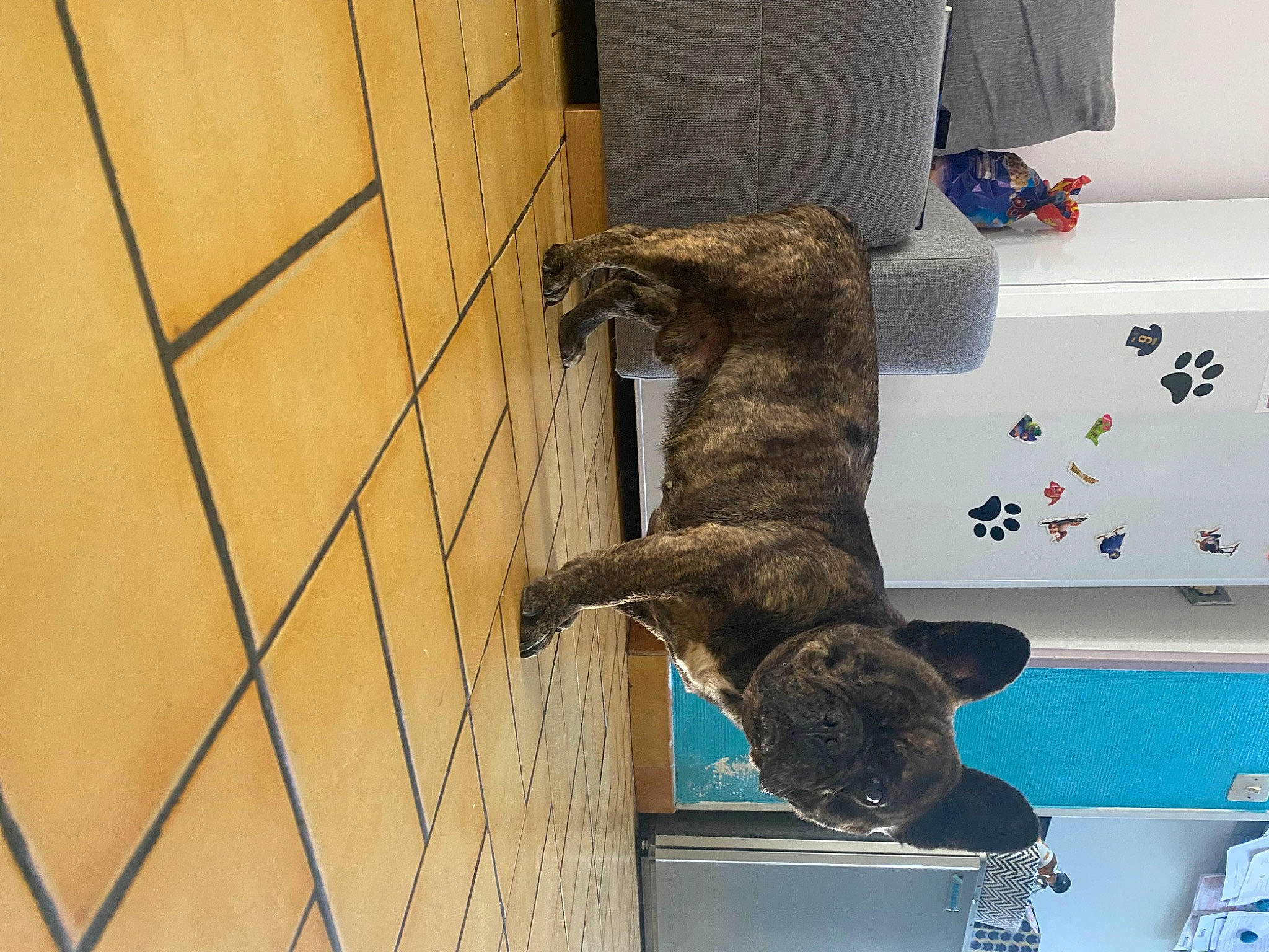 Lewis