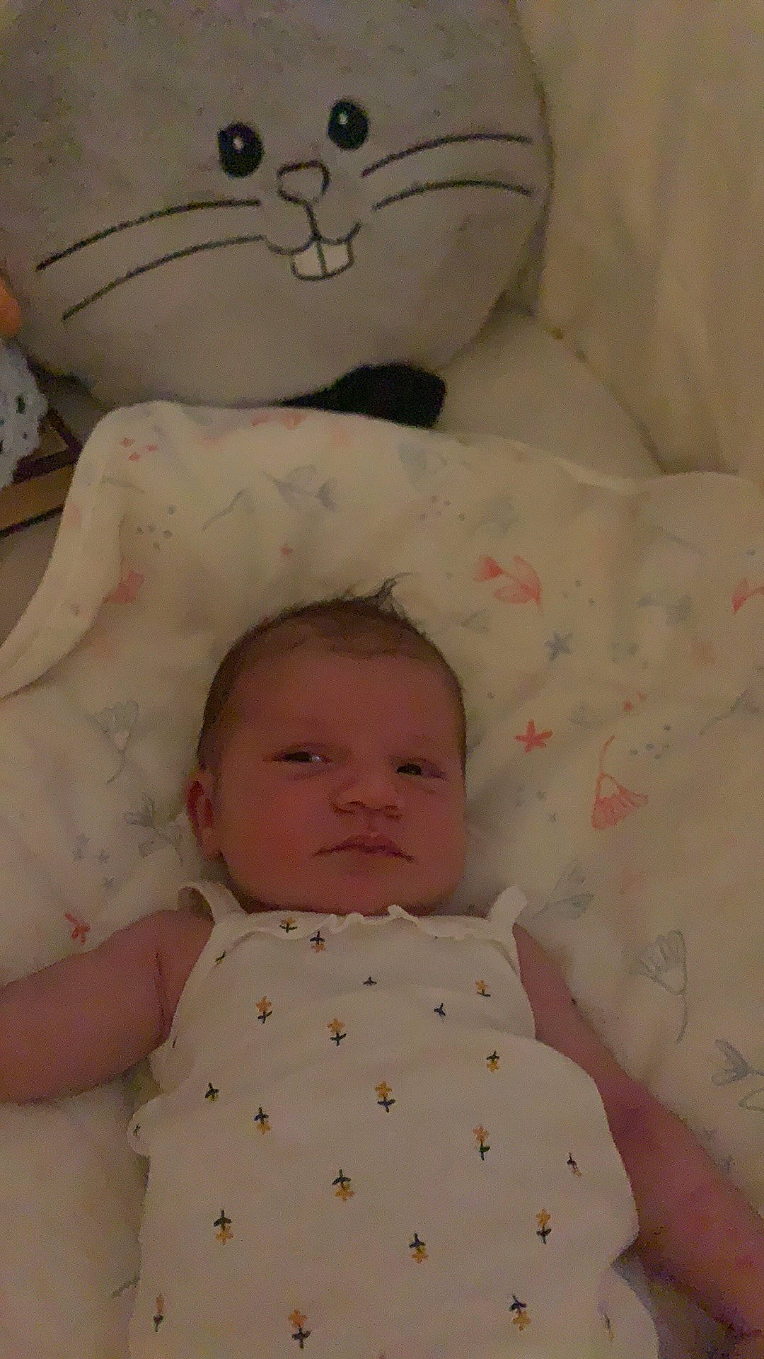 Lya participe au concours pour gagner de l'argent avec cette photo : baby, baby_products, baby_sleeping, baby_toddler_clothing, cat, child, chin, comfort, facial_expression, head, linens, nose, pattern, person, pink, skin, sleeve, textile, toddler, whiskers