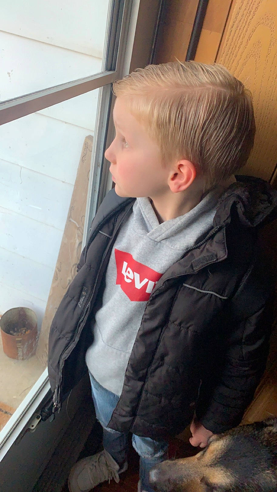 Cayden is registered to the contest to win money with this photo: button, caesar_cut, child, collar, comfort, dress_shirt, elbow, formal_wear, fur, hairstyle, leather_jacket, mammal, person, sitting, sleeve, standing, t_shirt, toddler, top, waist