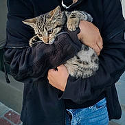 Jasper is registered to the contest to win money with this photo: person, cat, kitten, tabby_cat, black_jacket, blue_jeans, outdoor, holding, pet, young_person, curious_cat, casual_clothing, concrete_floor, necklace, portrait, animal, cute, feline, friendly, comfort