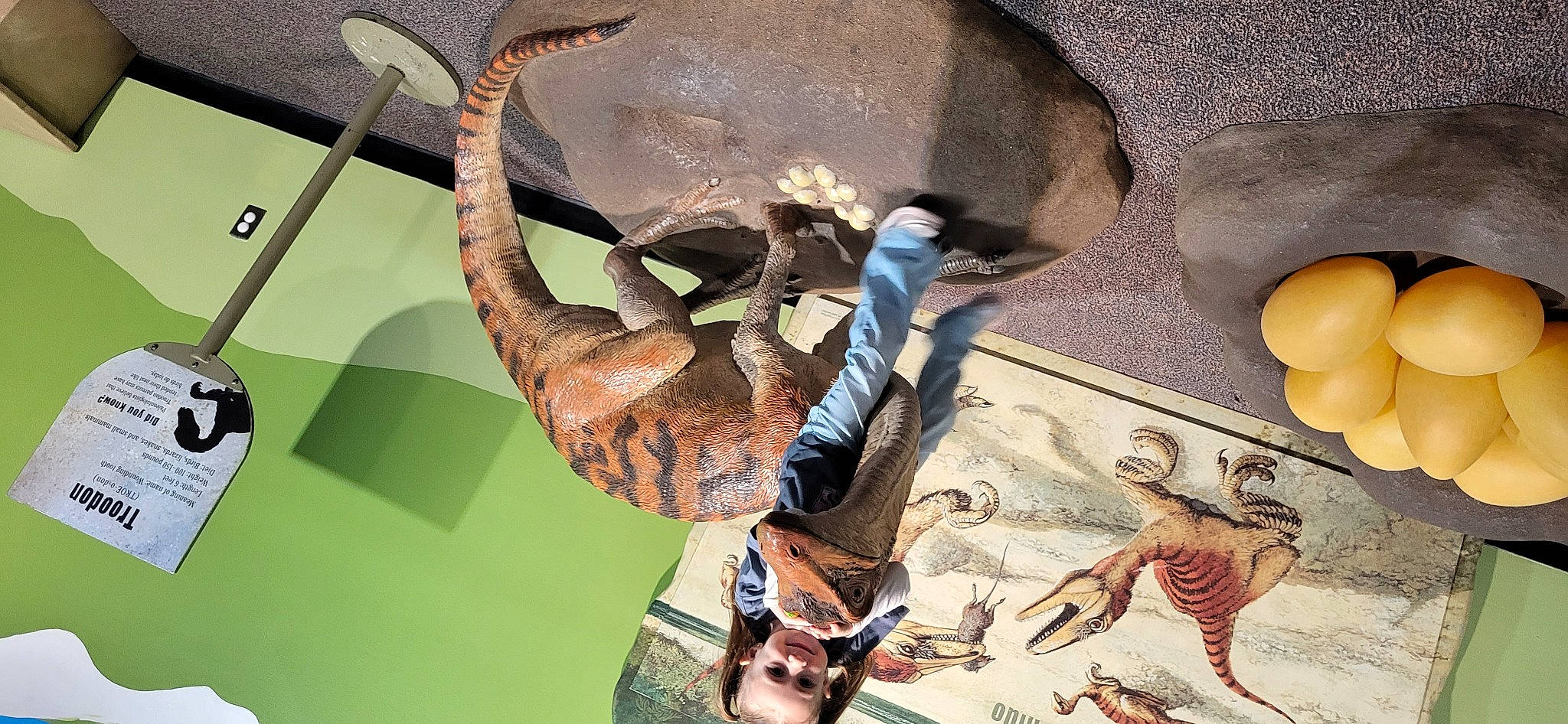 Lyric joined the competition — help win amazing prizes! adventure, animation, art, ceiling, fictional_character, joy, leisure, metal, organism, person, python, python_family, recreation, reptile, rope, scaled_reptile, serpent, snake, tail, terrestrial_animal