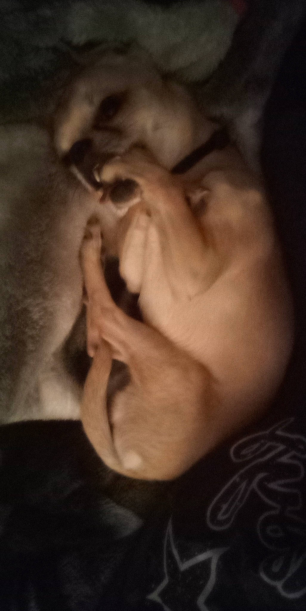 Chapo is registered to the contest to win money with this photo: abdomen, chest, cloud, darkness, elbow, eyebrow, facial_hair, flash_photography, gesture, happy, human_body, human_leg, jaw, nail, nose, smoke, thumb, trunk, wrinkle, wrist