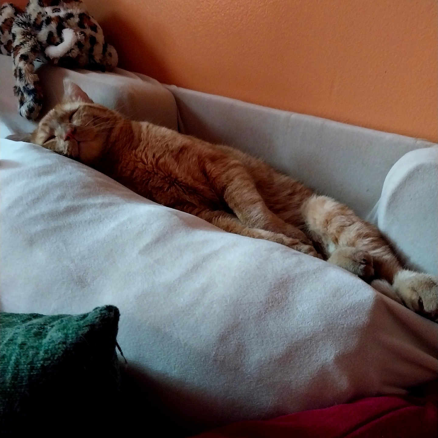 Milo