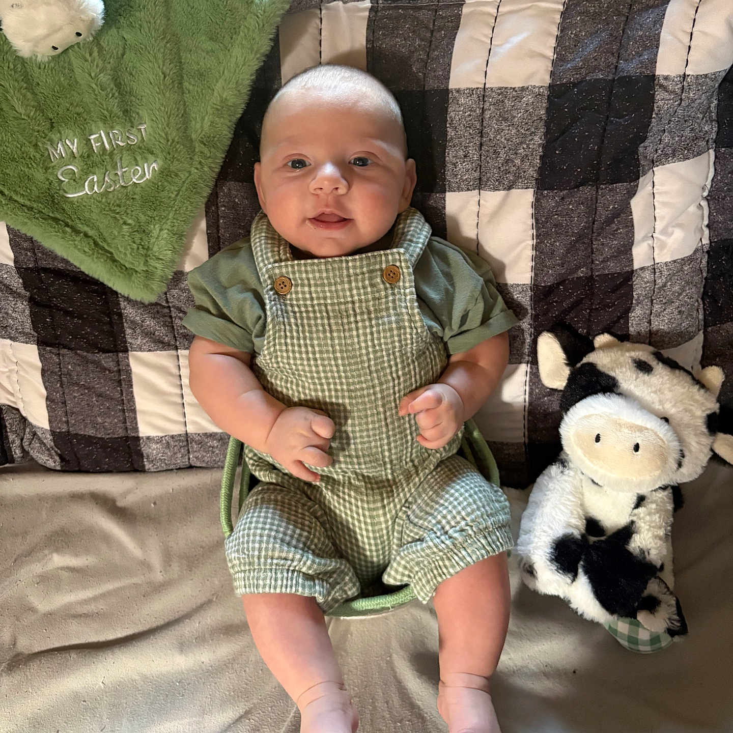 Bodie is registered to the contest to win money with this photo: baby, infant, green_clothing, plush_toy, cow_toy, blanket, checkered_pattern, soft_toy, smiling, cute, indoors, child, portrait, sitting, easter, holiday, fabric, cozy, comfortable, happy