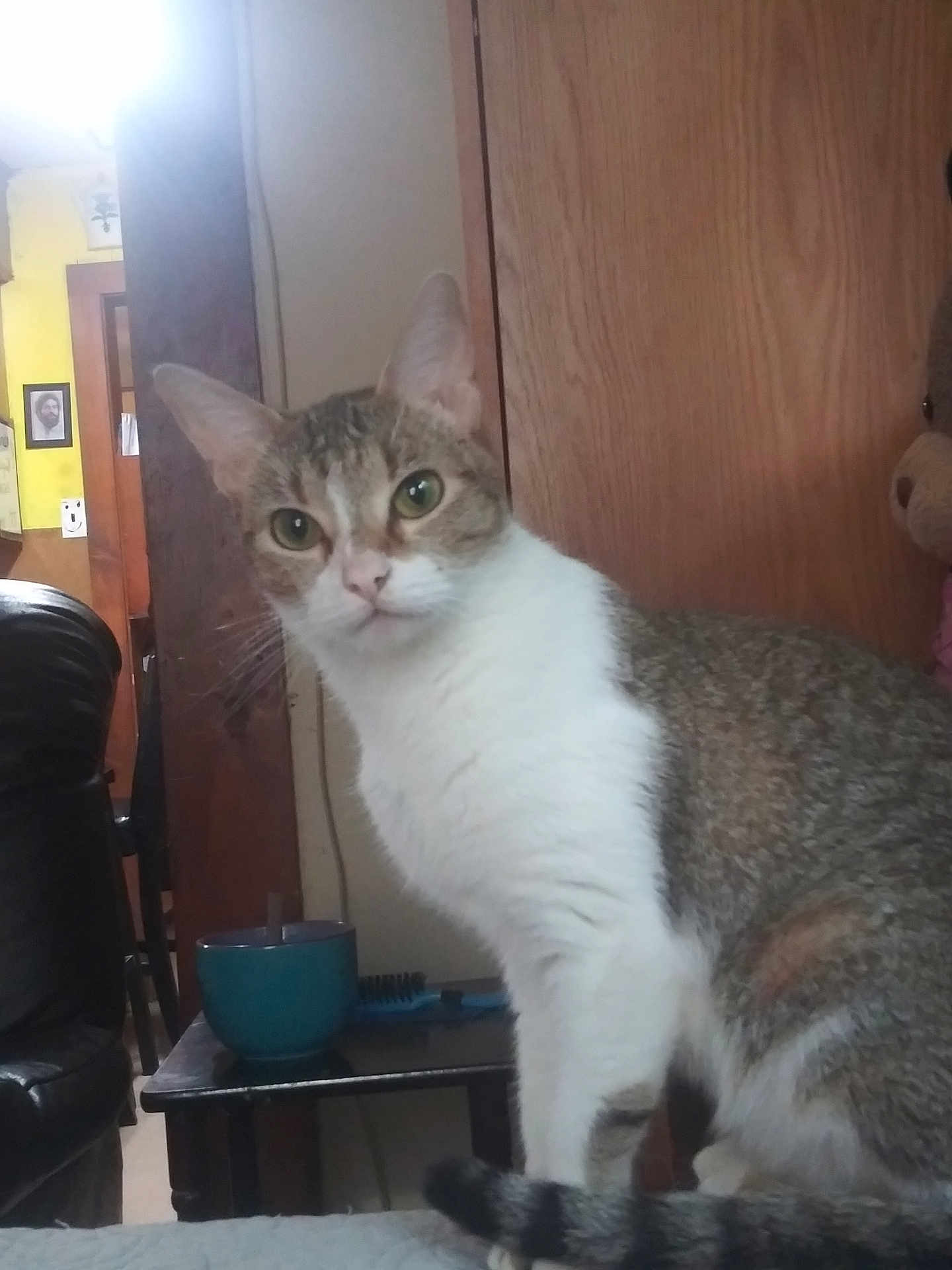 Libby