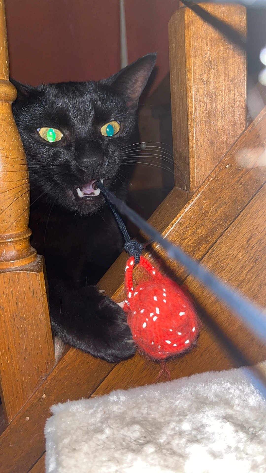Titus