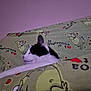 animal, applique, bed, bedroom, blanket, cat, chair, couch, cushion, furniture, homedecor, indoors, kitten, linen, manx, pattern, pet, quilt, rabbit, room
