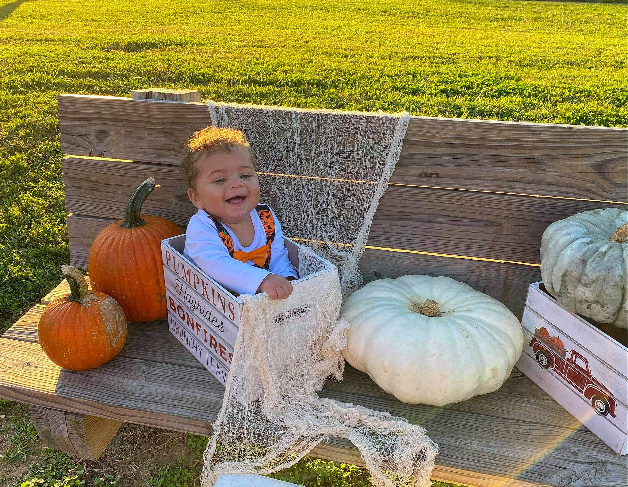 Kaius joined the competition — help win amazing prizes! _and_melon_family, _gourd, calabaza, child, cucumber, cucurbita, food, fruit, gourd, grass, local_food, person, plant, pumpkin, sitting, squash, toddler, vegetable, winter_squash