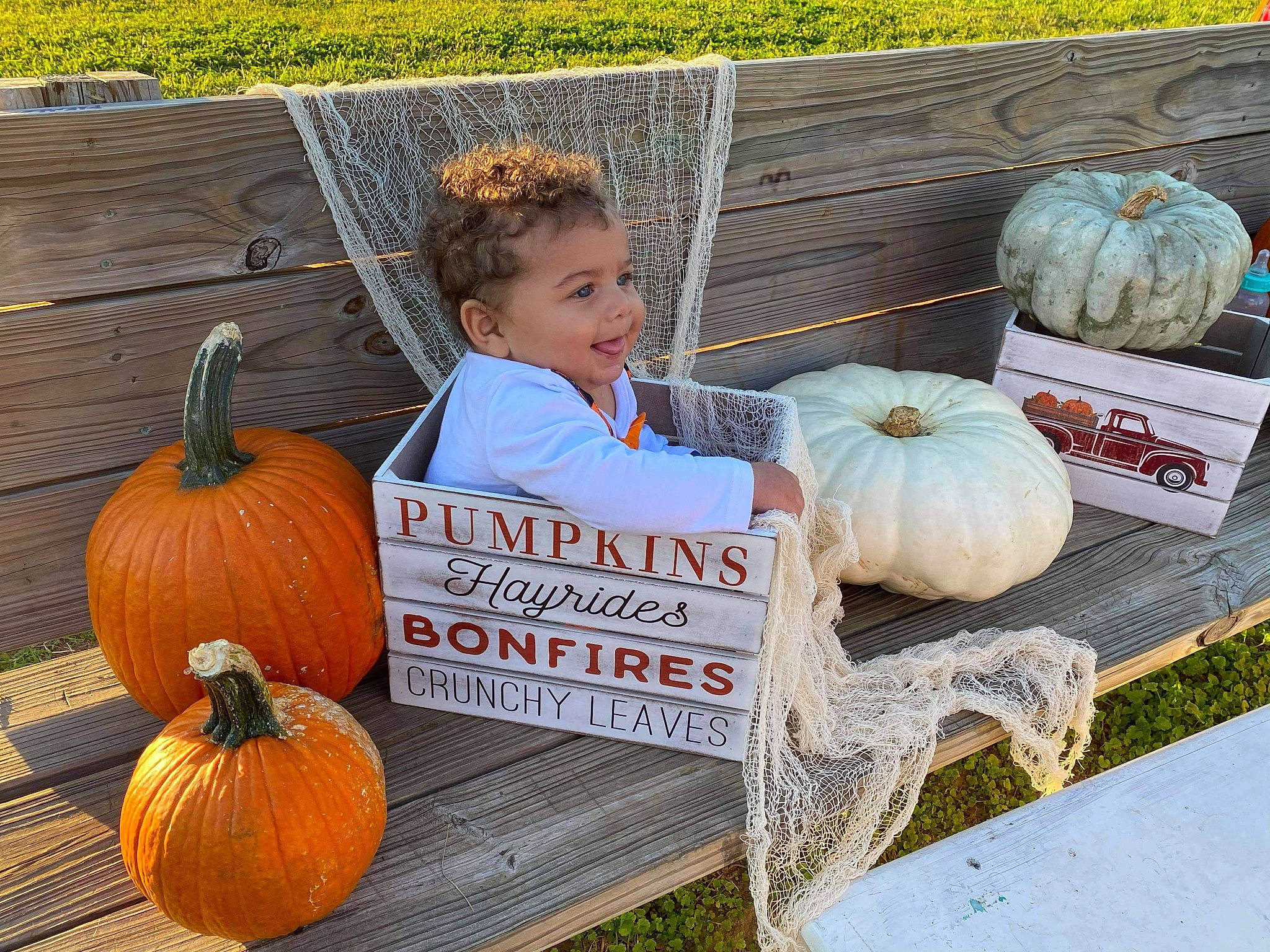 Kaius is registered to the contest to win money with this photo: _and_melon_family, _gourd, calabaza, child, cucumber, cucurbita, food, fruit, gourd, local_food, natural_foods, person, plant, produce, pumpkin, squash, toddler, vegetable, vegetarian_food, whole_food