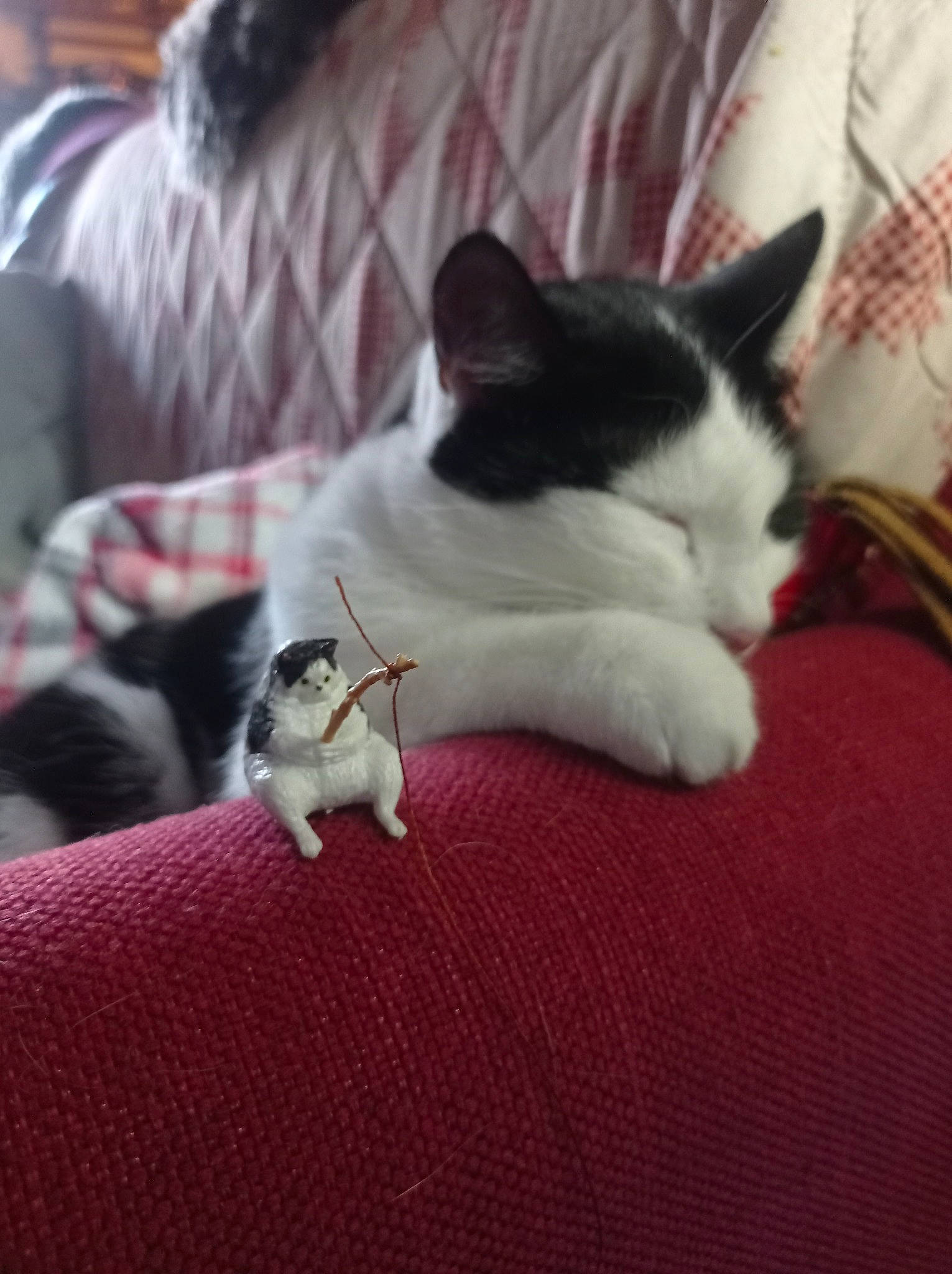 Lilia a rejoint le concours — aidez-le/la à gagner de superbes lots ! carmine, carnivore, cat, claw, comfort, domestic_short_haired_cat, felidae, flooring, foot, fur, grey, human_leg, linens, nap, paw, room, small_to_medium_sized_cats, tail, whiskers, wood